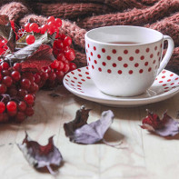 Photo of cranberry tea 2