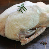 Photo of goose meat
