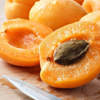 Photo of apricot kernels 4