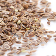 Photo of dill seeds