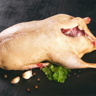 Photo of goose meat 5