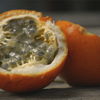 Photo of granadilla fruit 2