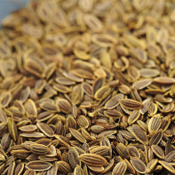 Dill Seeds Photo 5