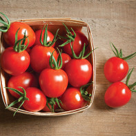 Photo of cherry tomatoes 2