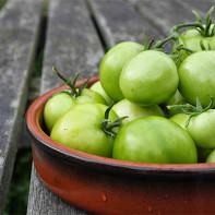 Green tomatoes photo 2