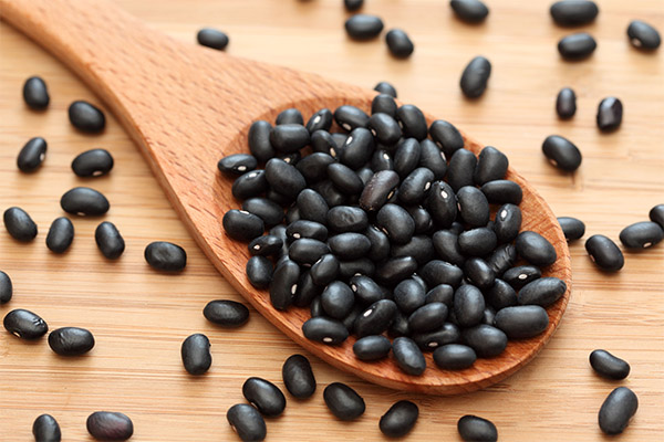 Black beans in medicine