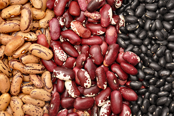 Interesting Facts about Black Beans