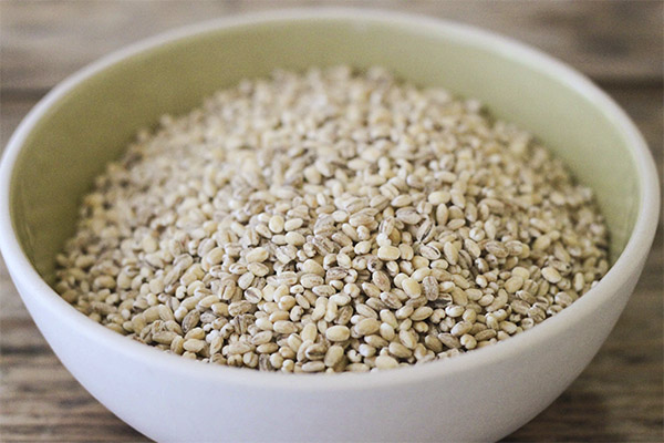 Interesting facts about pearl millet
