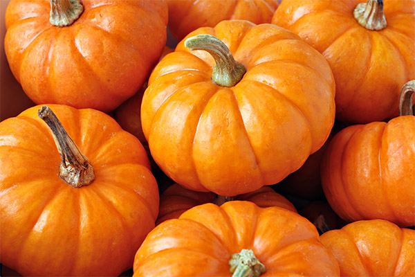 How to choose pumpkin for juicing