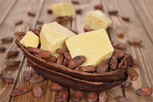 Cocoa Butter Usage in Medicine