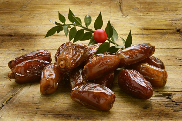Dried dates in medicine