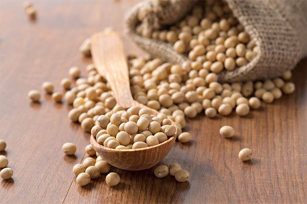 Interesting facts about soybeans