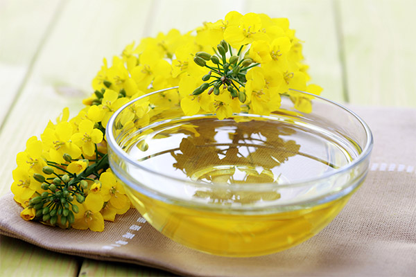 The benefits and harms of rapeseed oil