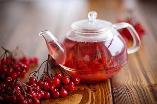 How to cook tea from guelder rose