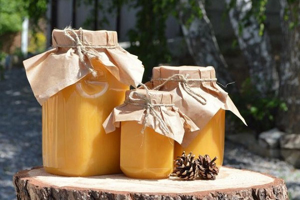 How to choose and store wild honey