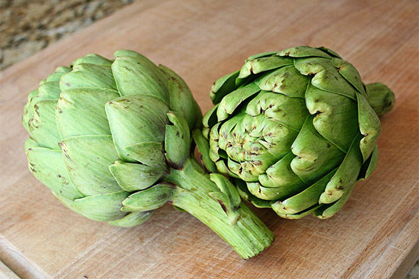 The benefits and harms of artichokes