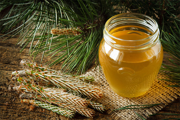 Benefits and harms of wild honey