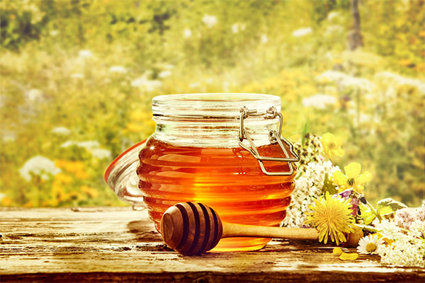 The benefits and harms of May honey