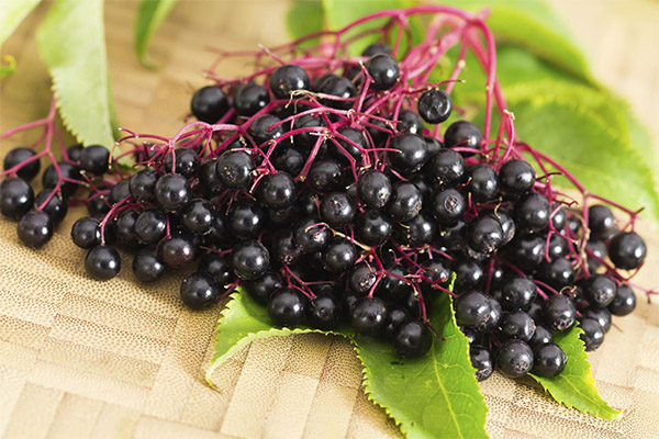 The benefits and harms of elderberry
