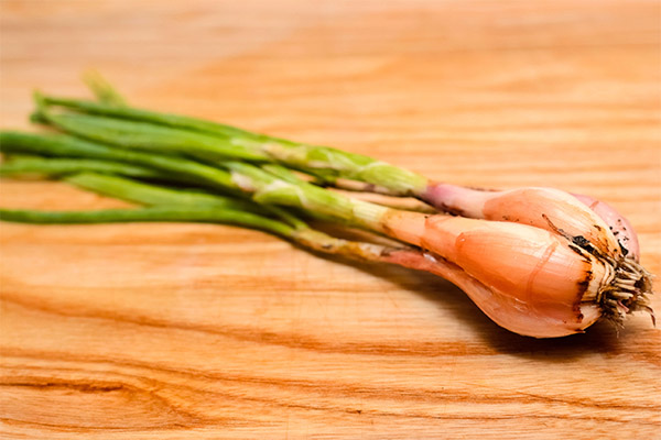 What are the benefits of shallots