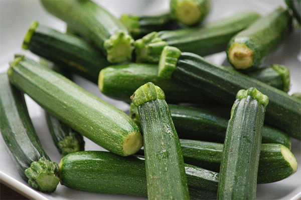 Interesting facts about zucchini