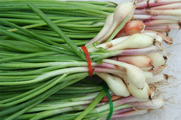How to choose and store shallots