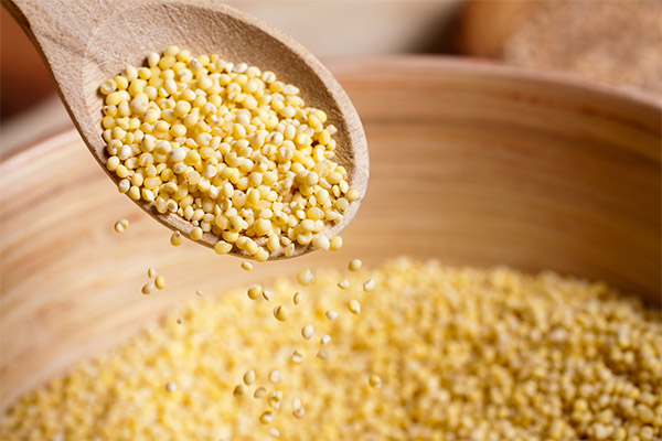 Useful properties of millet