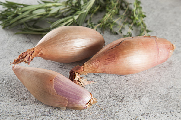 The Benefits and Harms of Shallots