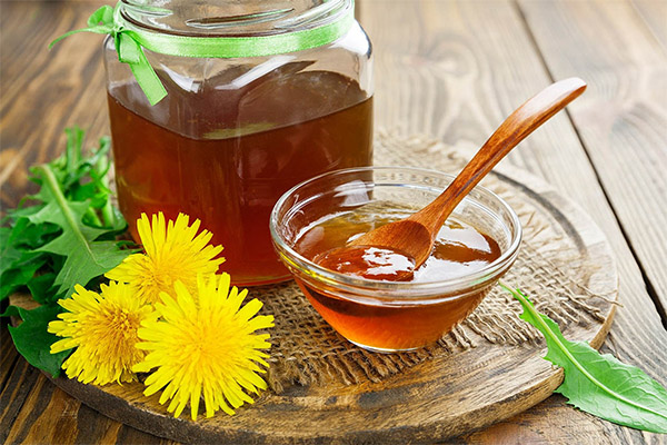 How to take dandelion honey