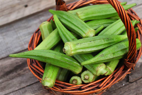 How to choose and store okra