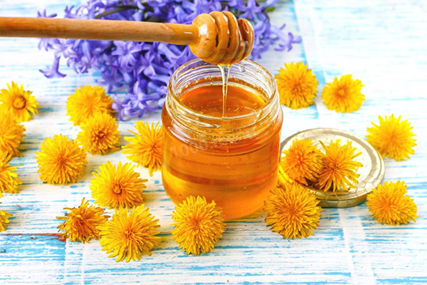 Useful properties of dandelion honey