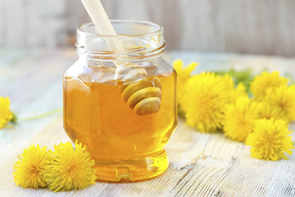 Benefits and harms of dandelion honey