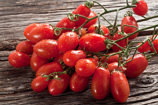 The benefits and harms of cherry tomatoes
