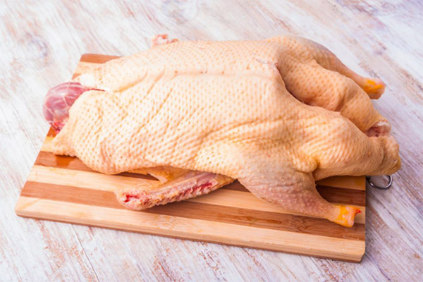 The benefits and harms of goose meat