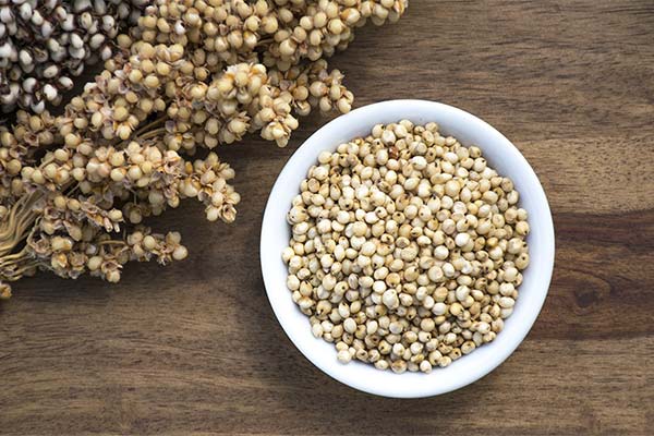 What is useful grits sorghum