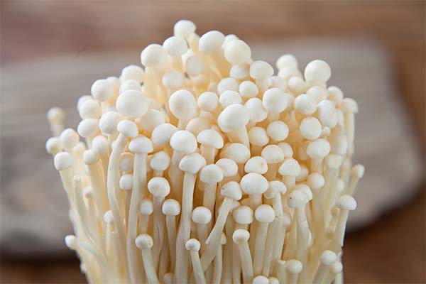 What are the benefits of enoki mushrooms