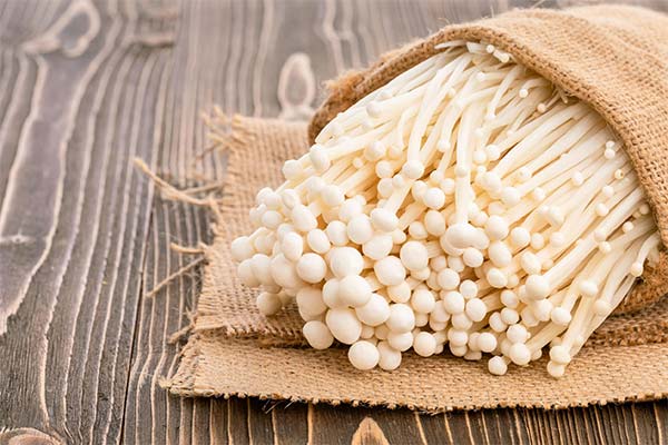How to choose and store Enoki