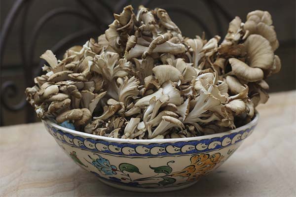 How to cook maitake mushrooms