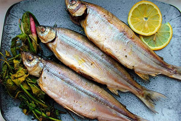 How to cook pelad fish
